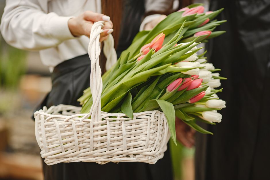 A person dressed in a white long-sleeve top is holding a white wicker basket filled with fresh tulips, predominantly pink and white with some green buds and leaves. The basket, woven with a sturdy han