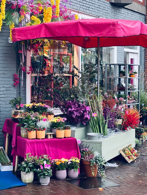 A vibrant outdoor flower display under a large pink umbrella showcases an assortment of fresh floral arrangements arranged on tables and shelves outside a local florist. The flowers include purple hya