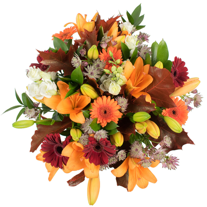 A richly textured, slightly elevated overhead view presents a compact autumn arrangement that reads as both celebratory and quietly rustic. The bouquet is anchored by several fully open orange lilies whose trumpet forms are elegant and expansive; nearby, numerous plump lily buds in fresh green and soft orange promise continued bloom. Bright orange Gerbera daisies provide joyful punctuation, while deep burgundy gerberas introduce depth and a cozy, marrow-like warmth. Small, creamy-white lisianthus with their ruffled petals act as gentle counterpoints, creating pockets of light amidst the warmer palette, and airy clusters of purple-grey Astrantia weave a delicate, architectural filigree through the mass. Large, chestnut-to-reddish oak-style leaves are intentionally placed to conjure the feel of drifted leaves on a Dartmouth Park path, their lobed silhouettes echoing the season outside; fresh green foliage and slender stems add contrast and structural support. The flowers sit against a pure white background under bright, diffuse light that makes the oranges glow and the burgundies deepen without shadowing the finer textures; you can almost imagine the tactile sensation of the silky petals, the papery oak leaf edges, and the coolness of the stems. This bouquet communicates generosity and warmth - suited to Thanksgiving centrepieces, autumn birthdays, or a thoughtful gift to bring the season indoors - and reads like a small harvest brought in from the garden near Tufnell Park Road or the quieter lanes around Highgate.